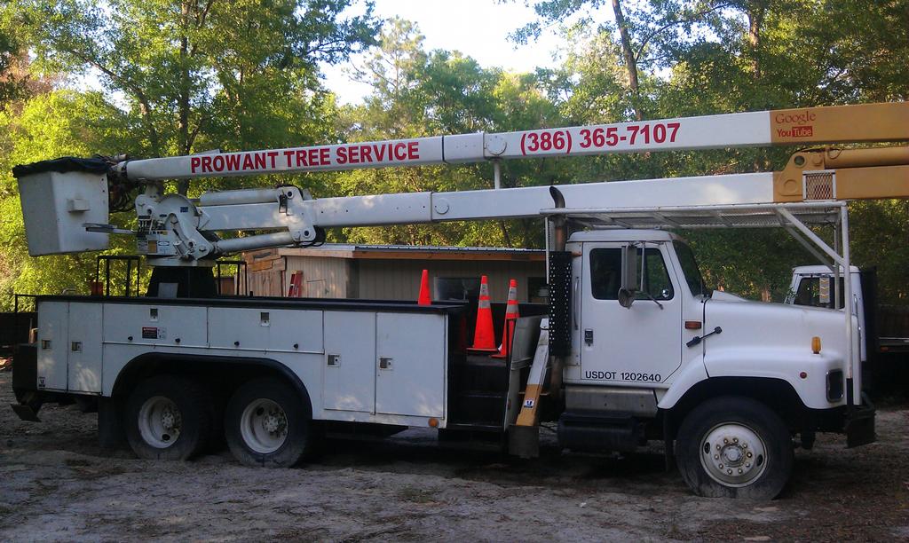 PROWANT LAKE CITY TO GAINESVILLE BUCKET TRUCK TREE SERVICE Lake City